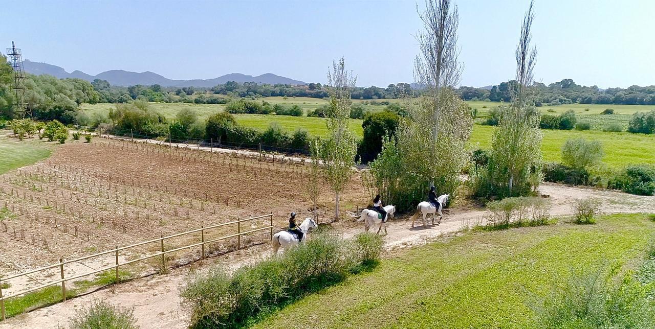 Finca Agroturismo Son Menut Felanitx Exterior photo